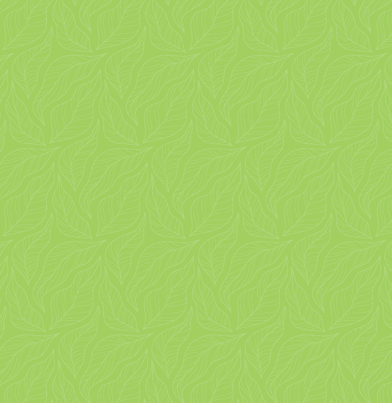 Batik Overlay