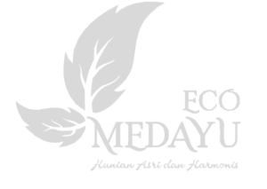 eco medayu